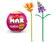 Max premium Kockice Cveće