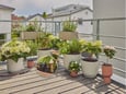 Gardena Kap po kap balkonski set za navodnjavanje 15 saksija 25m