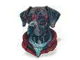 Wood Magic Slagalica od drveta Puzzle Dog sa naočarima 100 delova