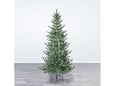 Nero Jelka Cedar Pine 240cm