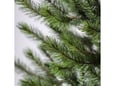 Nero Jelka Cedar Pine 240cm
