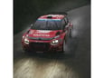 PS5 EA Sports: WRC