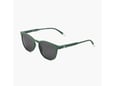 Barner Naočare za sunce Dalston/Dark Green Sun