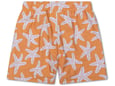 Swim Essential Šorts za kupanje 75.834 - 2023SE966