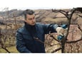 Bosch Akumulatorske makaze za baštu ProPruner set 2xGBA 3.0Ah 06019K1021