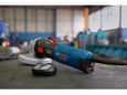 Bosch Ugaona brusilica GWS 17-125 S Inox 06017D0500