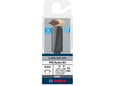 Bosch Glodalo PRO Router Straight Bit, Two Flutes 2608629678