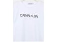 Calvin Klein Dečija muška majica Institutional