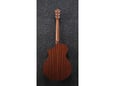 Ibanez Akustična ozvučena gitara AEWC11-TCB