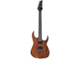 Ibanez Električna gitara RG421-MOL