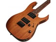 Ibanez Električna gitara RG421-MOL