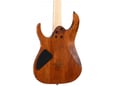 Ibanez Električna gitara RG421-MOL