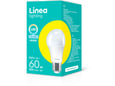 Linea LED sijalica 8,8W(60W) A60 806Lm E27 6500K