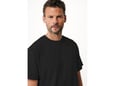 Mexx Muška majica MF007806841M-01-193911
