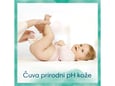 Pampers Vlažne maramice Sensitive 15 pakovanja x 80 1200kom