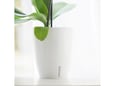 Santino Saksija Orchidea twin 1.3l