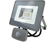 DREAMLED FLS-20 Led reflektor sa senzorom