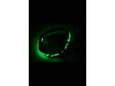 DREAM TOYS Gag Radiant Glow In The Dark Green
