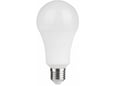 Mitea Lighting LED Eco sijalica 220-240V E27 12W A60 4000K