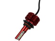 Royalty Line Grill Toster