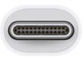 Apple Thunderbolt 3 (USB-C) to Thunderbolt 2 Adapter