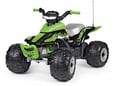 Peg Perego Motor na akumulator (12V) - Corall T-REX 330W IGOR0100