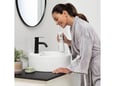 Waterpik Oralni tuš WP 490