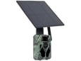 Evolveo Lovska kamera StrongVision Solar 4G