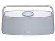TRONSMART prenosni zvočnik Fitune X30, 80 W, IPX6, siva, TS2404