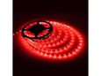LED Traka 12V 496