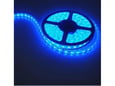LED Traka 12V 613
