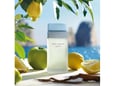 Dolce & Gabbana Light Blue EDT 100ml