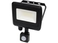 Home LED Reflektor sa detektorom pokreta 30W 2400lm IP65 FLL PIR 30