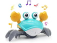 Craba Crab