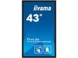 IIYAMA interaktivni zaslon na dotik Prolite TF4339AS-B1AG, 42.5", TF4339AS-B1AG