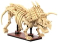 CADA kocke fosili dinozavra Triceratops, C59013W