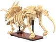 CADA kocke fosili dinozavra Triceratops, C59013W