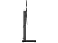 GEMBIRD namizni nosilec za TV TVS-D65S-01, 81-165 cm, do 40 kg