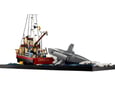 LEGO 21350 Ideas: Žrelo (Jaws)