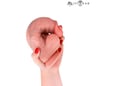 MR INTENSE Dildo Mr. Intense Spencer Ultra Realistic (23 Cm)