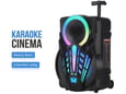 Thunder Bluetooth zvučnik karaoke set sa mikrofonom NDR-P08 crni