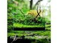 WeekAqua Ultra Clear akvarijum Mini S 30x18x24cm x5mm 13L