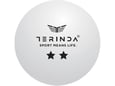 TERINDA žogice za namizni tenis Two Star