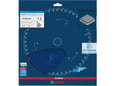Bosch List kružne testere Expert za vlaknasti cement 250mm 6T
