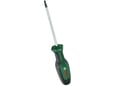 Bosch Šrafciger Torx T15x100mm