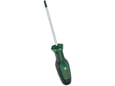 Bosch Šrafciger Torx TX20x100mm