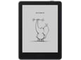BOOX e-bralnik Go 6 Gen II, 6 inch, 32GB