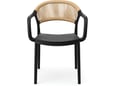 Silla Stolica Koral