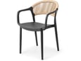 Silla Stolica Koral