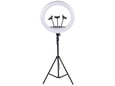 Selfie stick LED Ring light 45cm sa tripodom 200cm